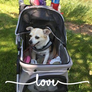 Meet your Posher, Kathy